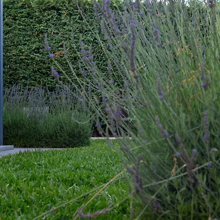 The Jolie - A Retreat In The * Funchal (Madeira)
